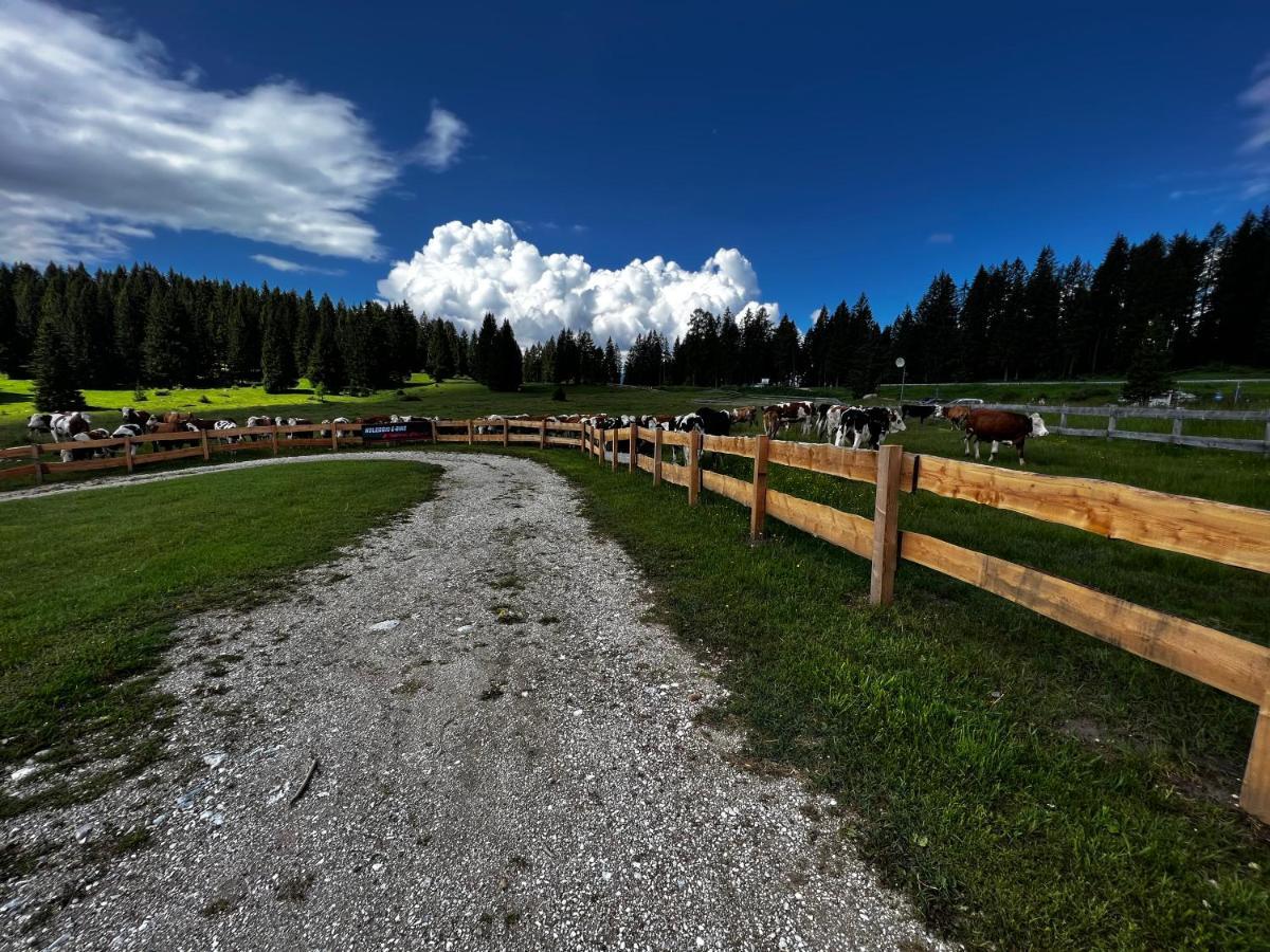 Malga Millegrobbe Nordic Resort Lavarone Exterior foto